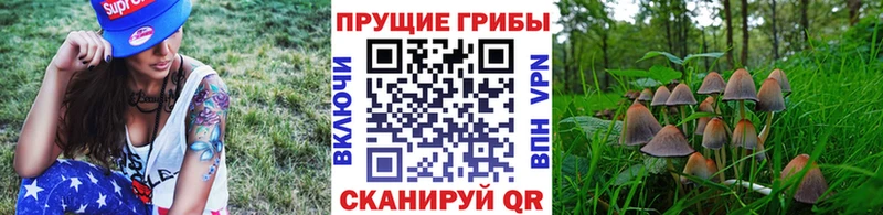 Галлюциногенные грибы Cubensis магазин Назарово
